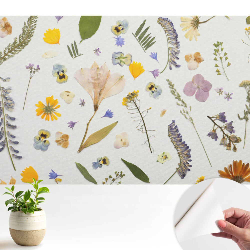 Tapeta Sušené květiny na bílém plátně