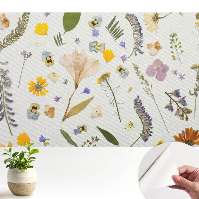 Tapeta Sušené květiny na bílém plátně