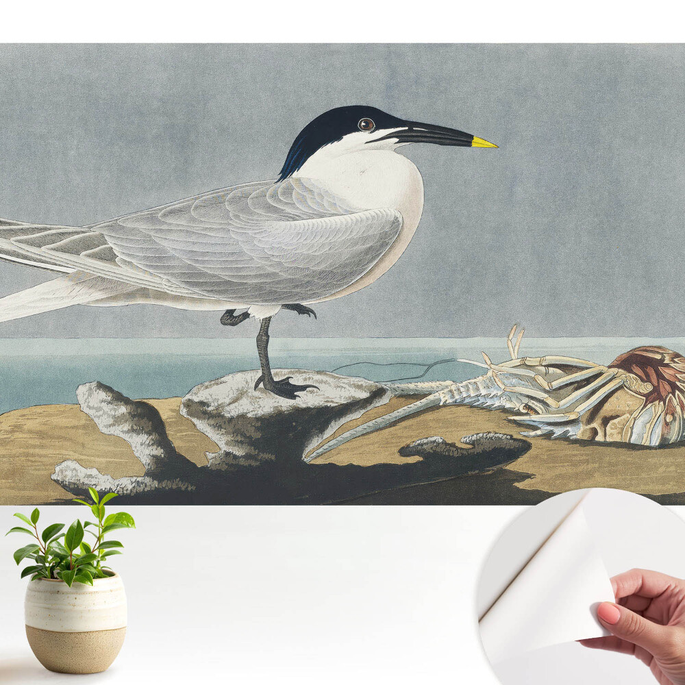 Tapeta do obyvaku Elegantní pták na pozadí moře