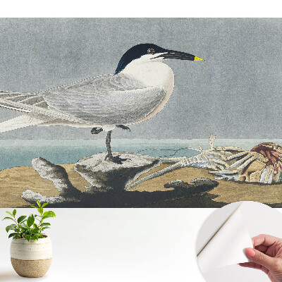 Tapeta do obývacího pokoje s motivem elegantního ptáka na mořském pozadí
