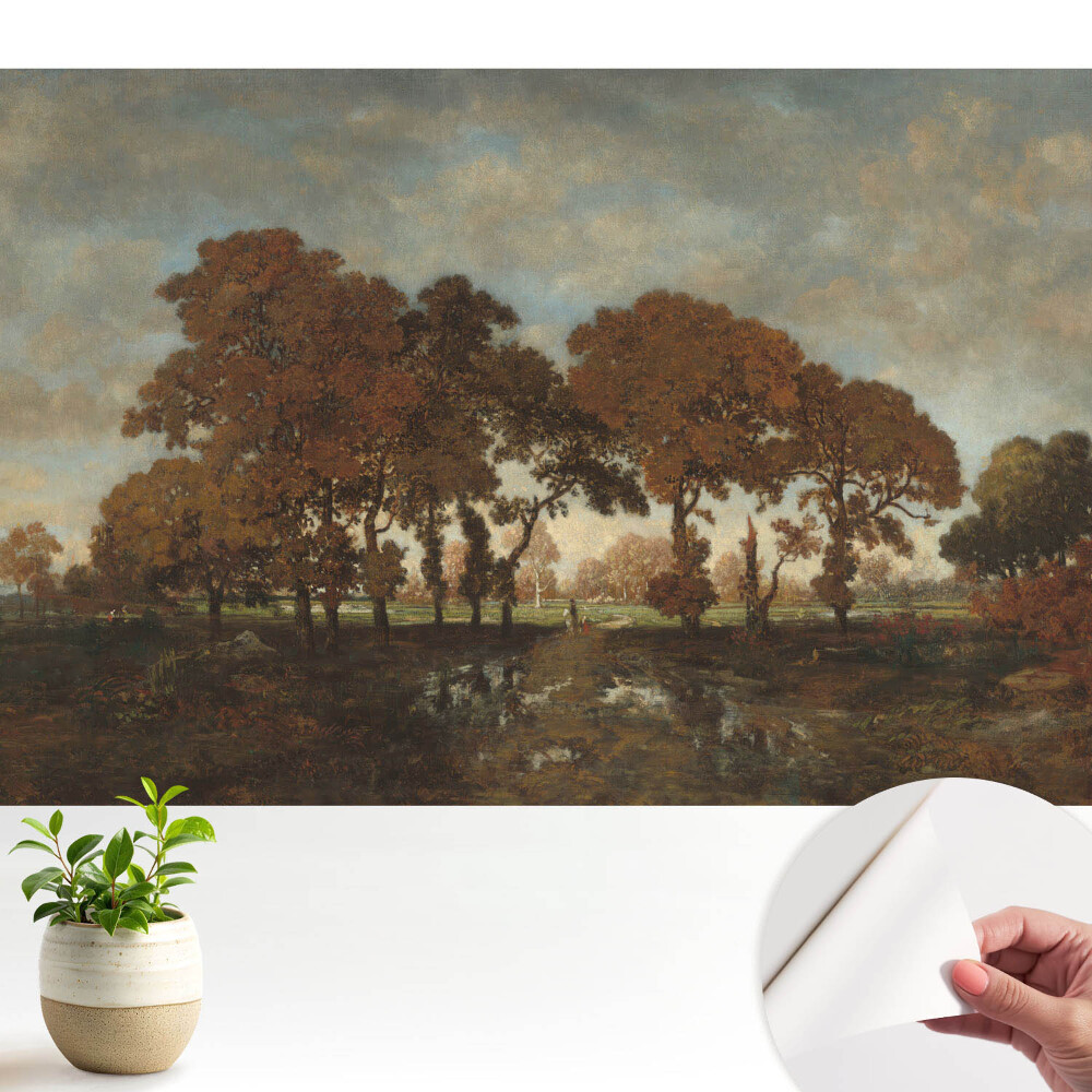 Tapeta na zeď Podzimní stromy v rustikální krajině