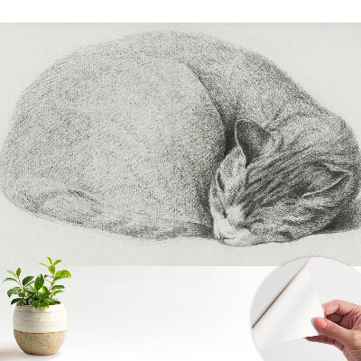 Tapeta do obyvaku Realistická kresba spící kočky