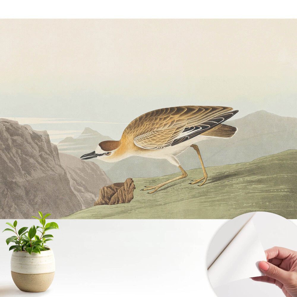 Tapeta Pták na úbočí hory