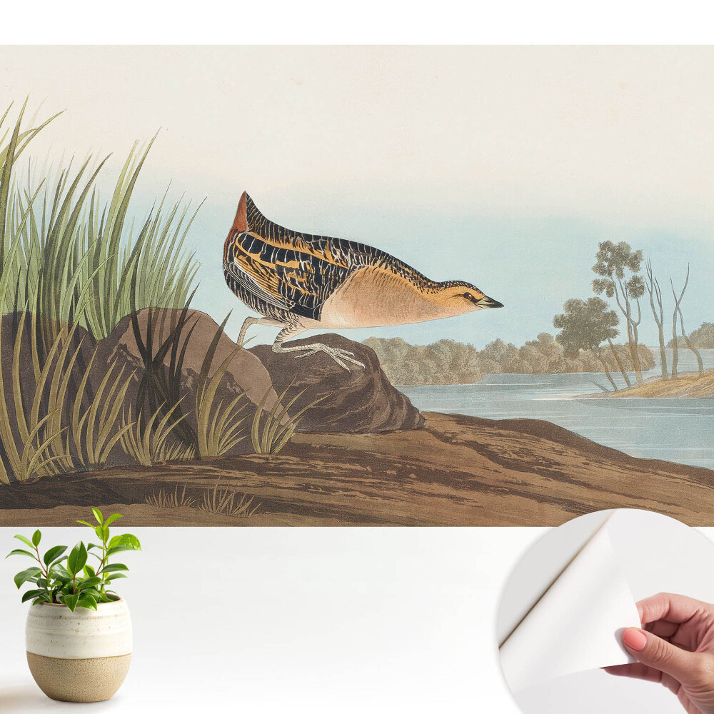 Tapeta do obyvaku Pták nad vodou v klasickém stylu