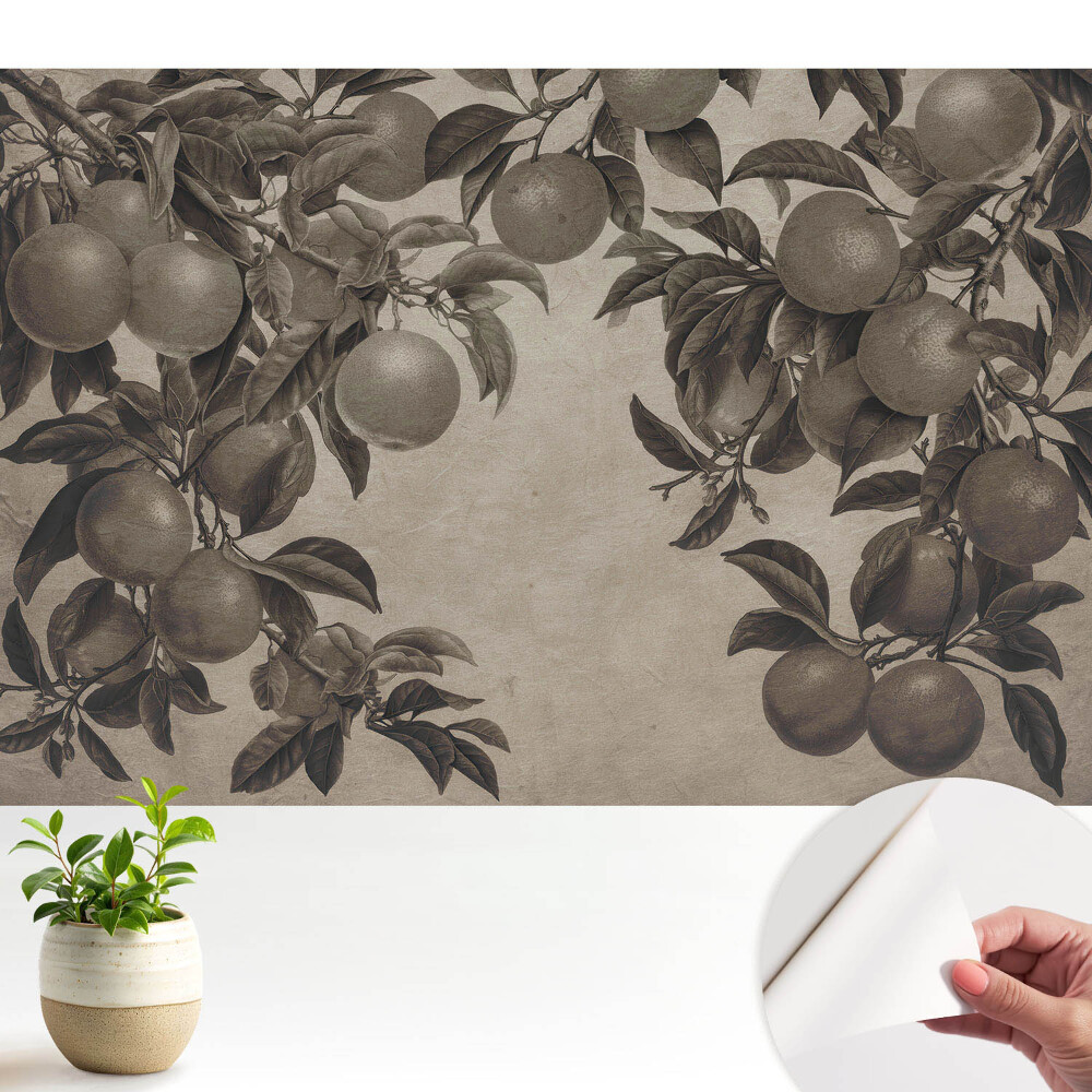 Tapeta na zeď Monochromatické retro ovocné listy vintage