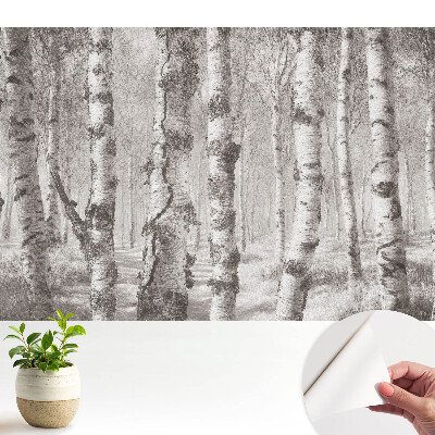 Tapeta s motivem bříz v klasickém lese