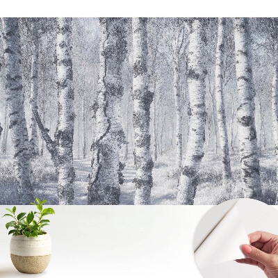 Tapeta na zeď se vzorem zimního březového lesa