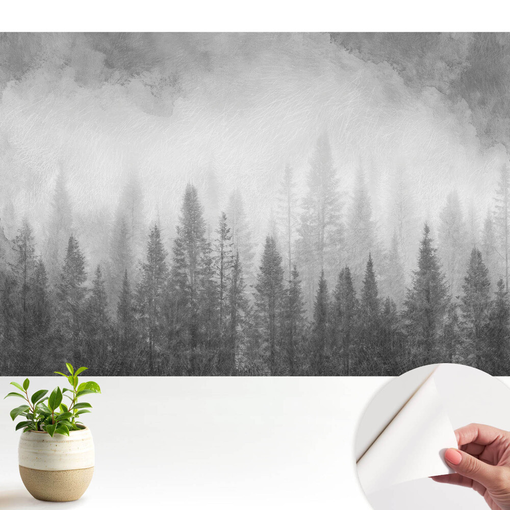 Tapeta Tajemný les v mlze