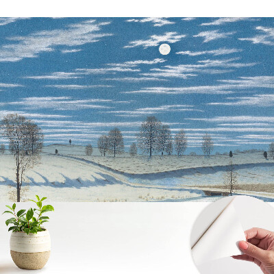 Tapeta Náladová zimní krajina pod měsícem
