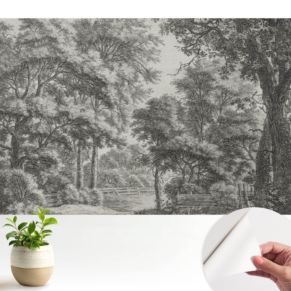 Tapeta Klasická lesní krajina harmonie a míru