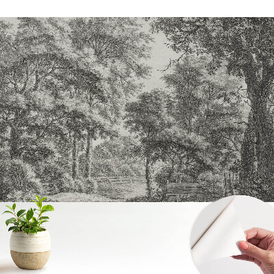 Tapeta s klasickou lesní krajinou vyjadřující harmonii a klid