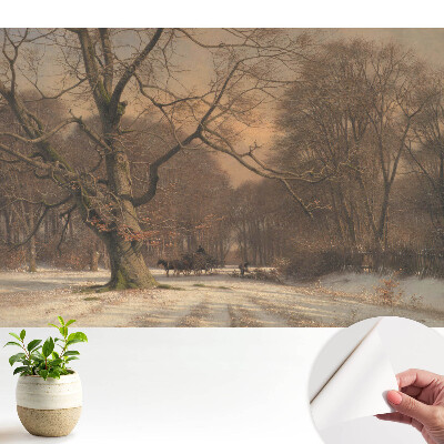 Tapeta Zimní lesní klid příroda