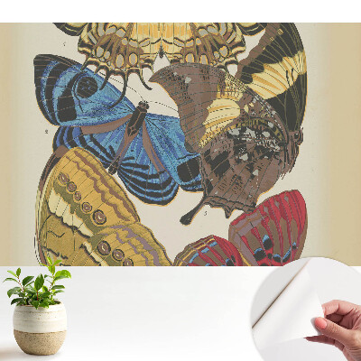 Tapeta Barevní motýli v elegantní kompozici