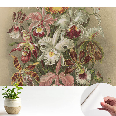 Tapeta do obyvaku Harmonie přírody s exotickými květinami