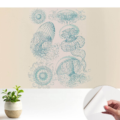 Tapeta Jemné kresby mořských medúz