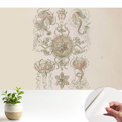 Tapeta na zeď s jemným symetrickým motivem medúzy