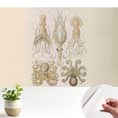 Tapeta s motivem mořských hlavonožců v harmonickém provedení