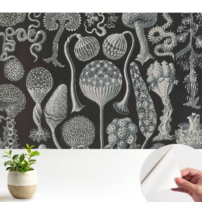 Tapeta s motivem fantastických organických tvarů v černé a bílé