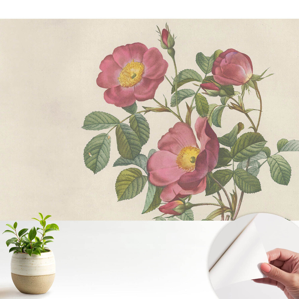 Tapeta na zeď Divoké růže v klasické kompozici