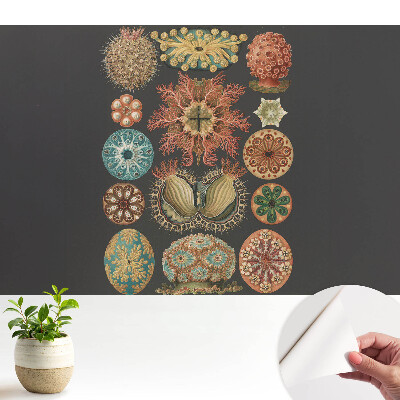 Tapeta s abstraktními mořskými tvary v klasickém stylu