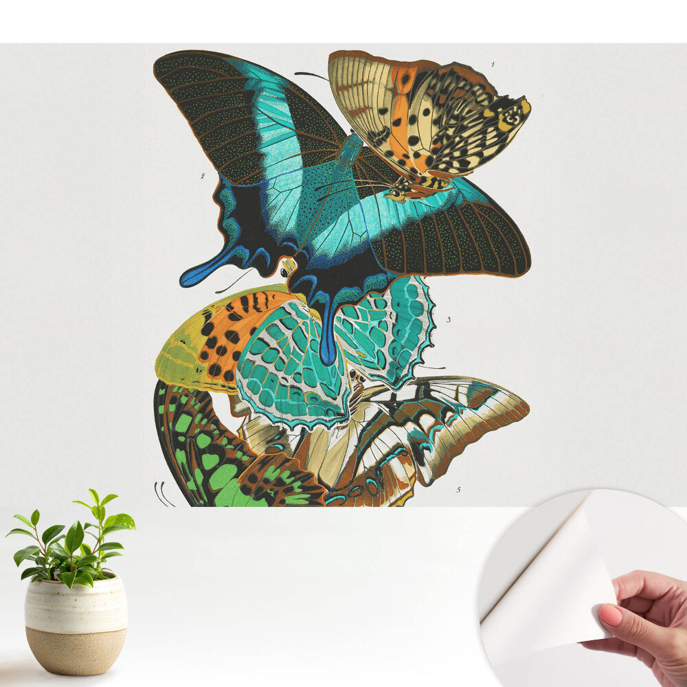 Tapeta Barevné motýli klasická harmonická kompozice