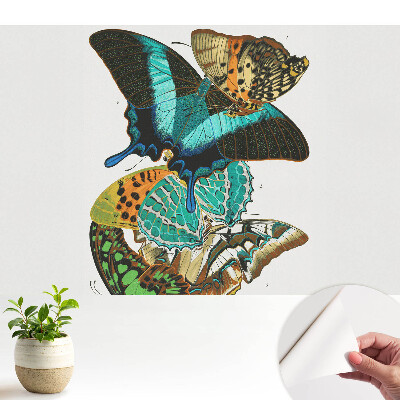 Tapeta Barevné motýli klasická harmonická kompozice