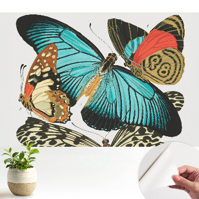 Tapeta na zeď s barevnými motýly v klasickém stylu