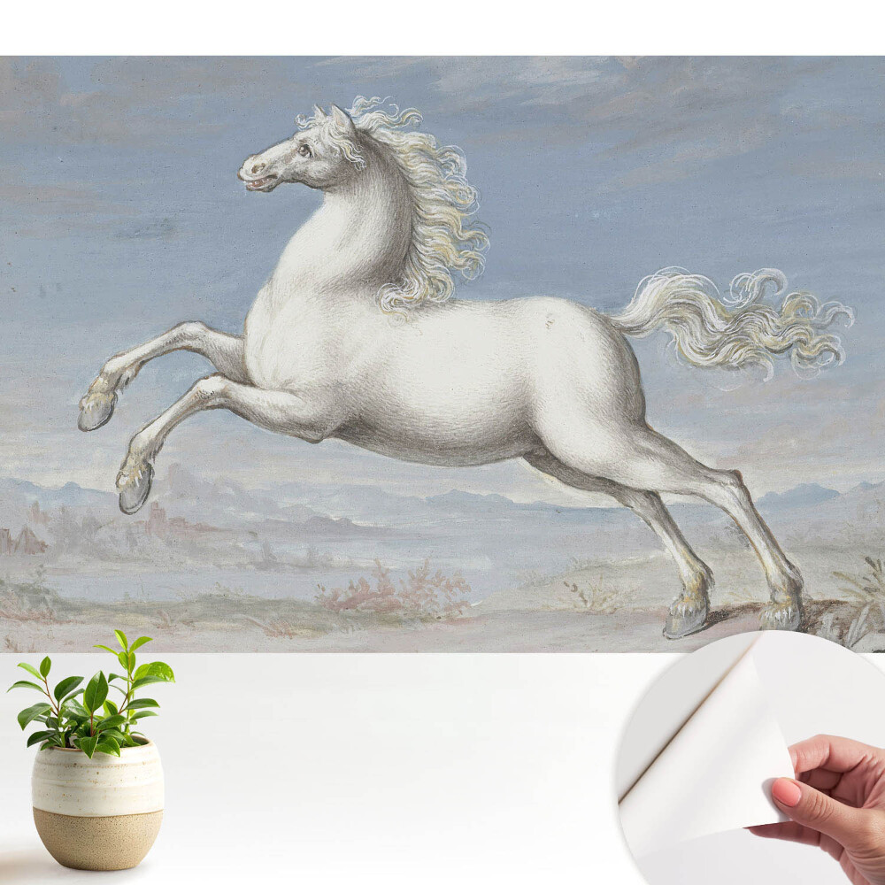 Tapeta Bílý kůň v dynamickém skoku