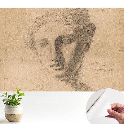 Tapeta na zeď s klasickým motivem ženské tváře
