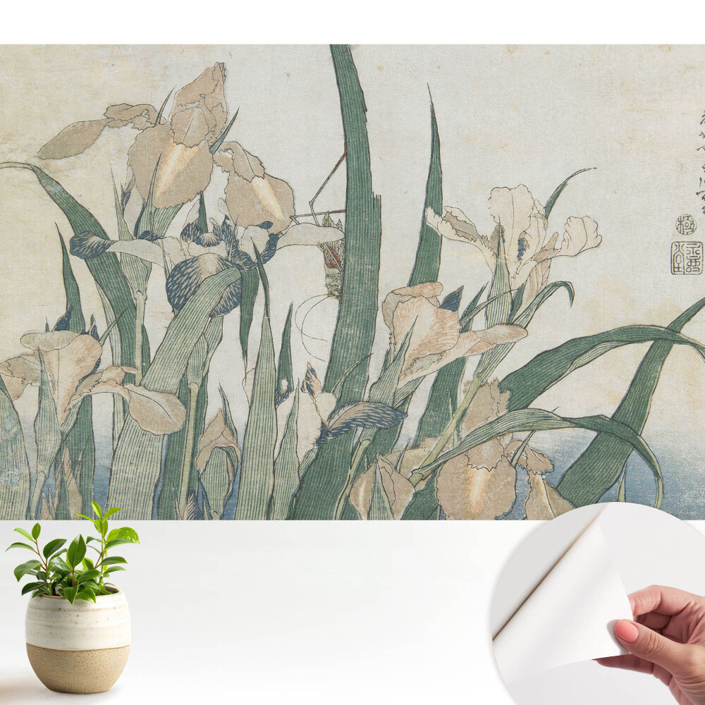 Tapeta Kosatce jsou klasickým vzorem harmonie a elegance