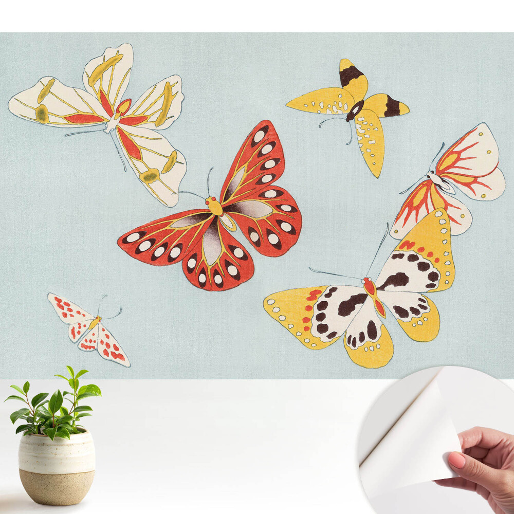 Tapeta Barevné motýly na světlém pozadí