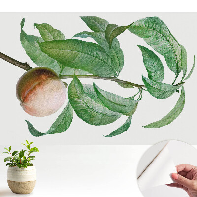 Tapeta na zeď Broskev a listy v klasickém stylu