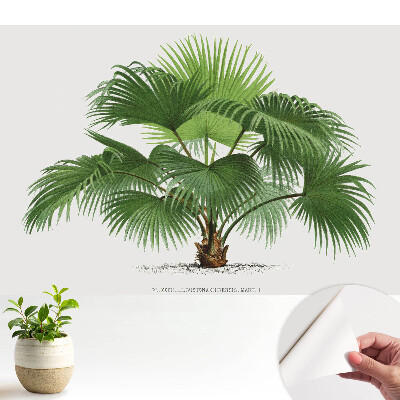 Tapeta Klasická elegance s motivem palem