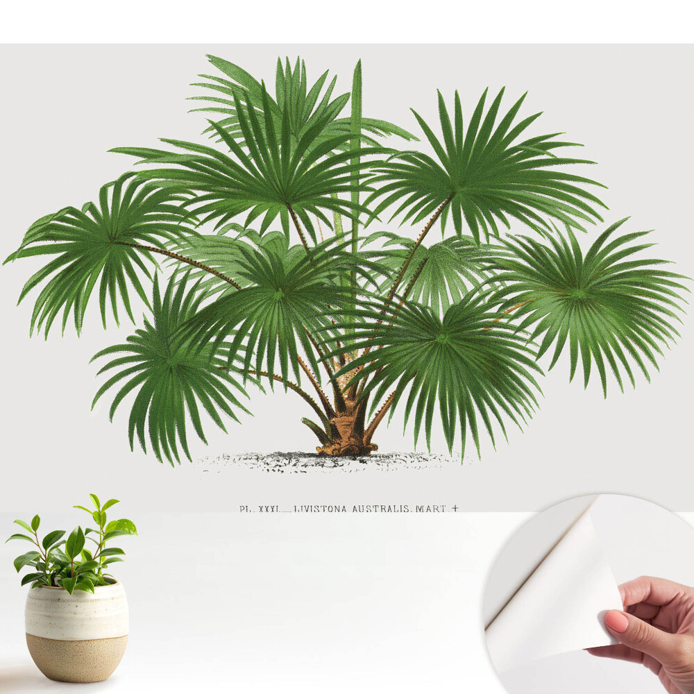 Tapeta do obyvaku Symetrické složení zelené palmy