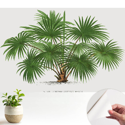 Tapeta do obyvaku Symetrické složení zelené palmy