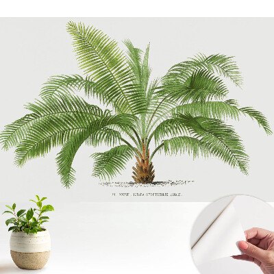 Tapeta s ilustrací tropické palmy