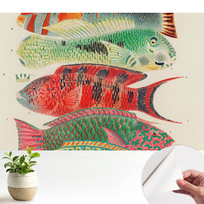 Tapeta na zeď s ilustrovaným motivem barevných ryb v klasickém stylu