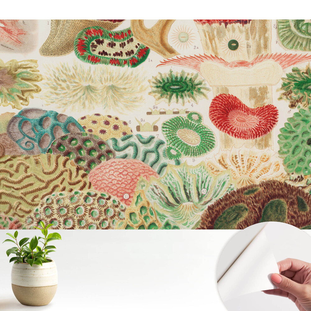 Tapeta Abstraktní organické motivy a struktury