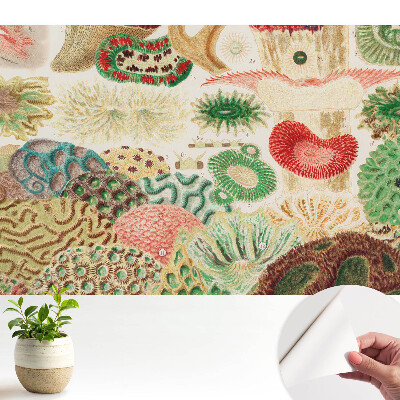 Tapeta Abstraktní organické motivy a struktury