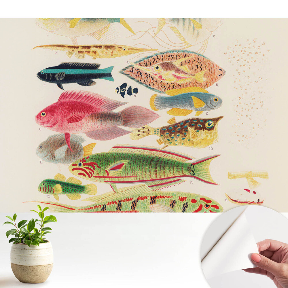 Tapeta do obyvaku Různé druhy ryb v klasickém stylu
