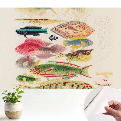 Tapeta do obyvaku Různé druhy ryb v klasickém stylu
