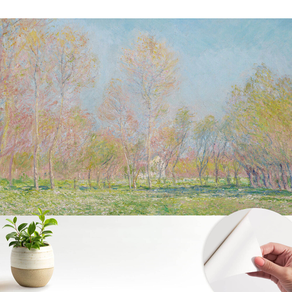 Tapeta na zeď Impresionistická krajina jarního parku