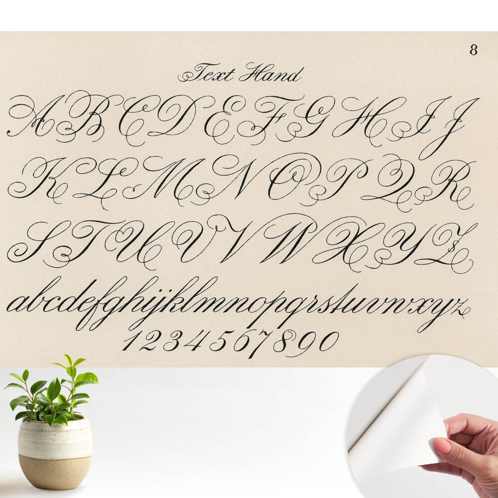 Tapeta Kaligrafická abeceda s propracovanými ozdobami