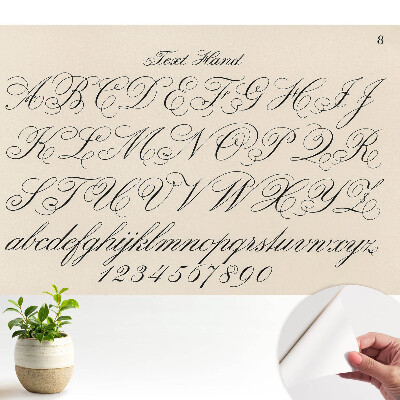 Tapeta Kaligrafická abeceda s propracovanými ozdobami