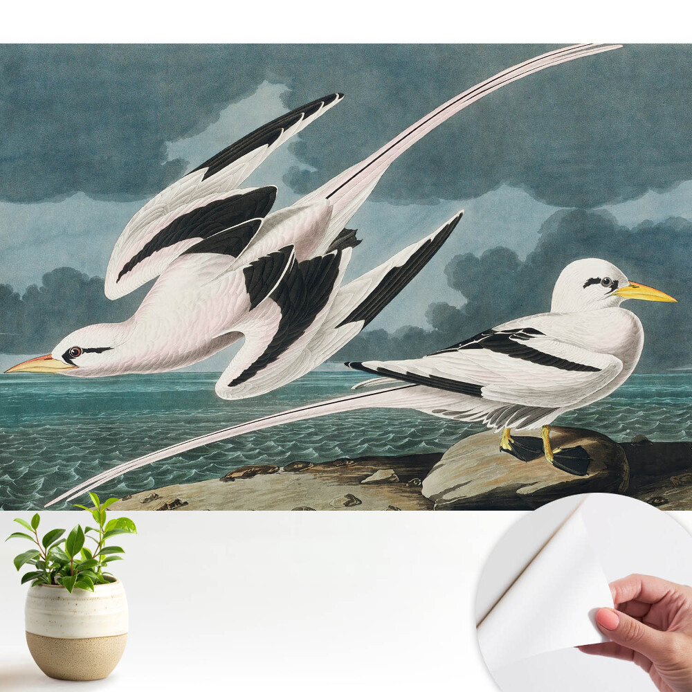 Tapeta na zeď Klasický obraz ptáků u břehu