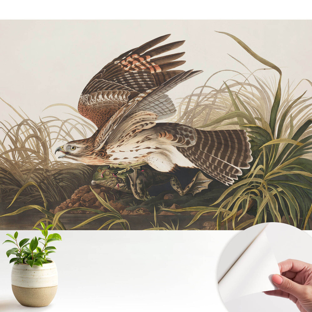 Tapeta Pták za letu mezi trávou