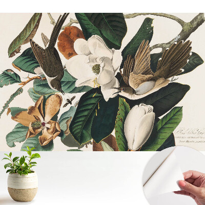 Tapeta do obývacího pokoje s motivem magnólií a ptáků v klasickém provedení