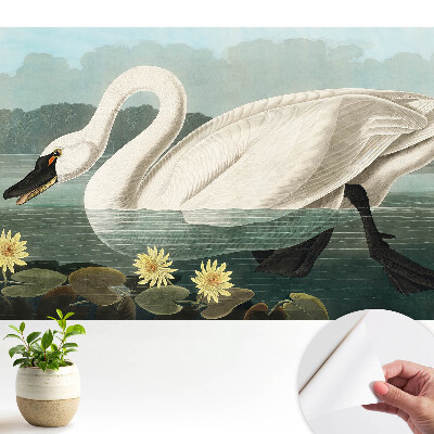 Tapeta se vzorem labutě a leknínů v klasickém stylu