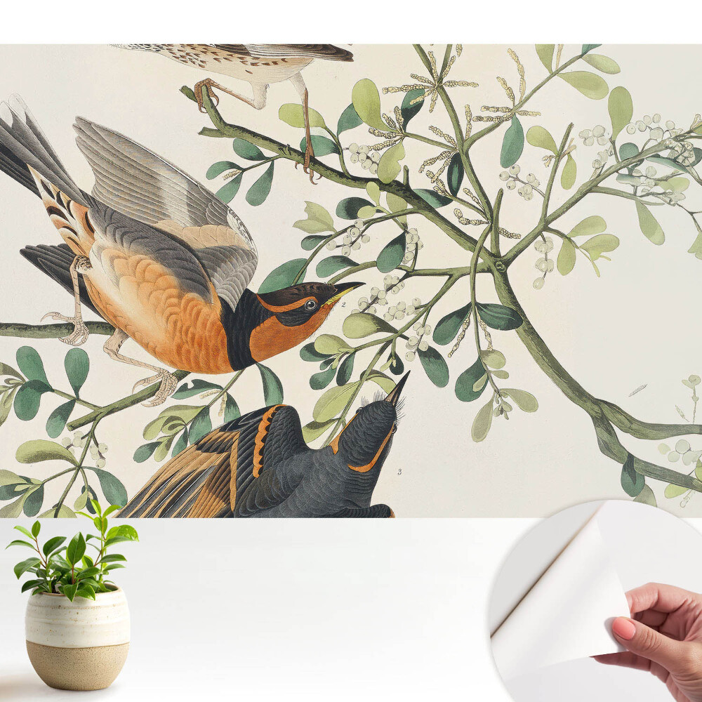 Tapeta na zeď Ptáci mezi zeleným listím