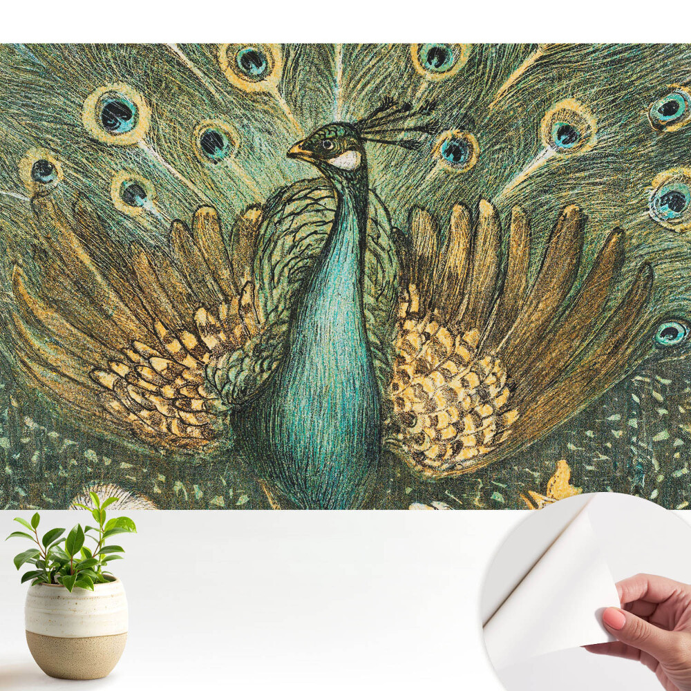 Tapeta Klasická páví elegance příroda